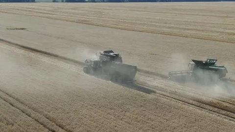 4k Aerial view from the drone to a combine agriculture machine harvesting golden Stock Footage 158175386