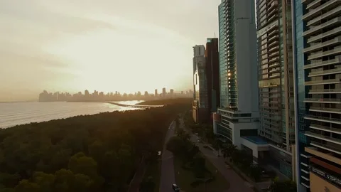 4K aerial view of the eastern coast area. buildings bay mangrove sunset 2 Vidéo 167100019