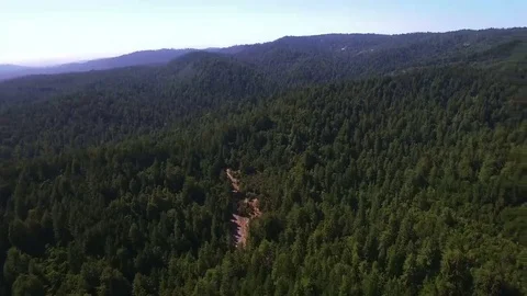 4K aerial view fast forward above trees forest mountains Видео 69214999