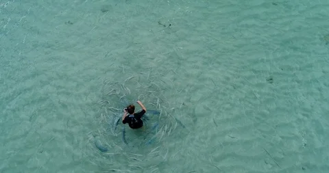 4K Aerial View of feeding fish Lord Howe Island,New South Wales,Australia Stock Footage 93342393