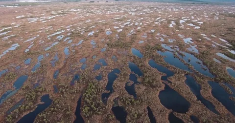 4K Aerial View. Flight Over Swamps 動画素材 74097564