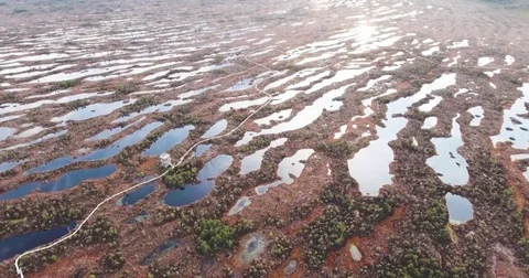 4K Aerial View. Flight Over Swamps at sunset Stock Footage 74231944