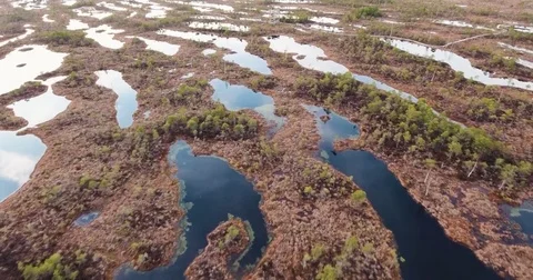 4K Aerial View. Flight Over Swamps at sunset 動画素材 74452838