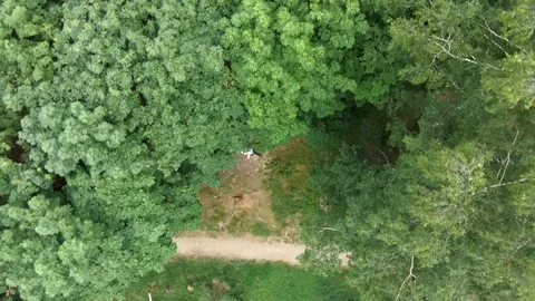4K Aerial view of the flight over the forest. View from the camera drone down Video stock 110627920