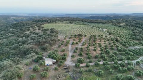 4K Aerial view flying forward over a traditional Spanish farmhouse at sunset Stock Footage 336018548