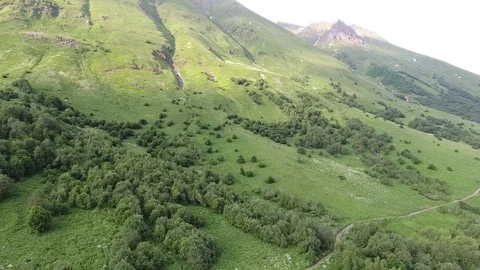 4K Aerial view. Flying over green hillside forest Stock Footage 73423977