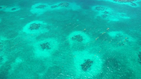 4K Aerial View flying over the Blue Hole reef coral in Belize Video stock 126578093
