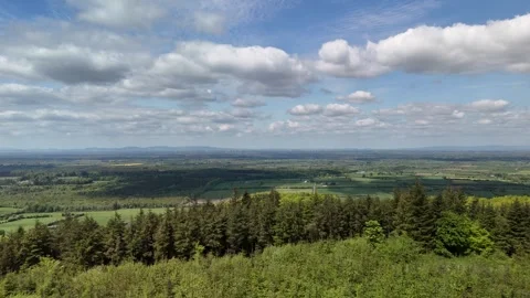 4K Aerial View of Forest and Green Rural Landscape Stock Footage 333932642