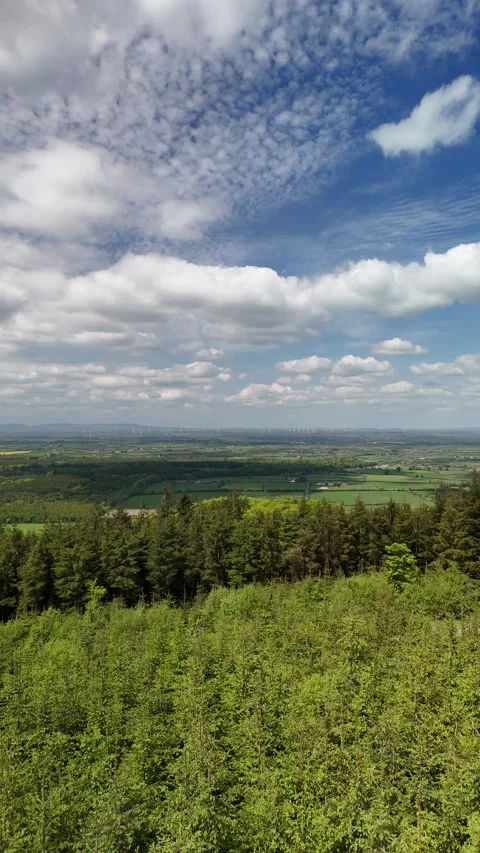 4K Aerial View of Forest and Green Rural Landscape Видео 333932659