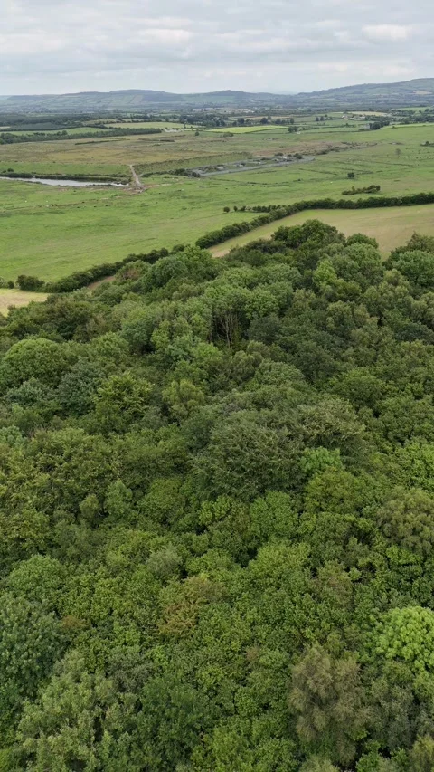 4K Aerial View of Forest and Green Farmland with Rolling Hills Stockbeeldmateriaal 337855846