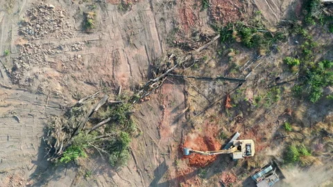 4K Aerial view of forest being cleared next to a rubber plantation in Cambodia. Stock Footage 150143906