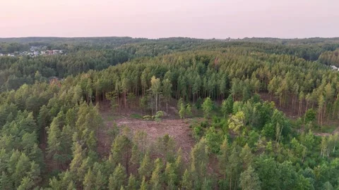 4k Aerial View of Forest with Deforestation Near Rural Village Stock Footage 286905255