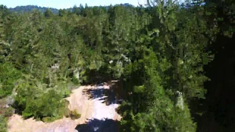 4K aerial view up forward forest mountain clear sky 動画素材 69101702