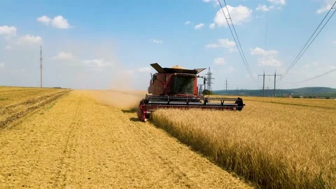 4K aerial view front view of Combine harvester harvesting wheat emits clouds of Stock Footage 161320723