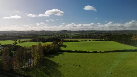 4K Aerial View of Green Fields in Jenkinstown, Kilkenny 스톡 동영상 332875910