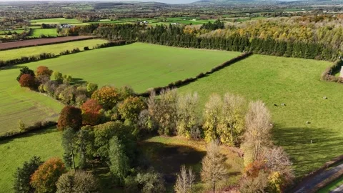 4K Aerial View of Green Fields in Jenkinstown, Kilkenny Stock Footage 332875929