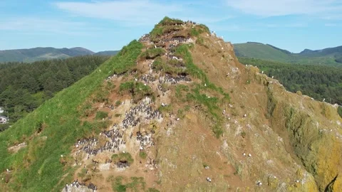 4K Aerial View Of Haystack Rock - Cannon Beach, Oregon Video stock 155775830