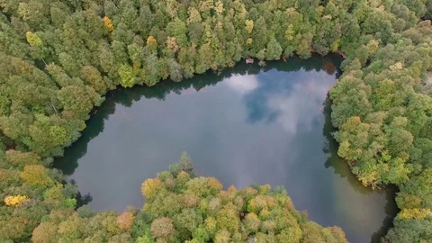 4K Aerial View of Lake And Pine Forest Stock Footage