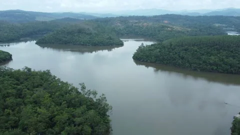 4k aerial view of a lake with clear water in a protected park in Brazil Stock Footage 239246453