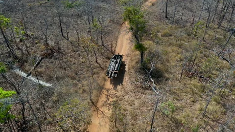 4K Aerial view of logging operation in Prey Lang Forest, Cambodia. Stock Footage 150190864