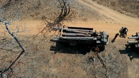 4K Aerial view of logging operation in Prey Lang Forest, Cambodia. Stock Footage 150191696