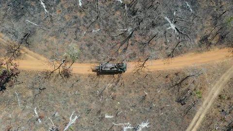 4K Aerial view of logging operation in Prey Lang Forest, Cambodia. Stock Footage 150191701