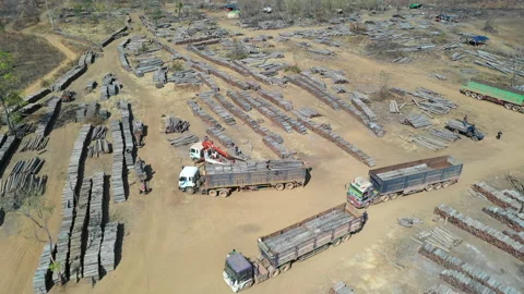 4K Aerial view of logging operation in Prey Lang Forest, Cambodia. Stock Footage 150193208