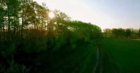4k aerial view. Low flight over green and yellow wheat rural field Stock Footage 69148852