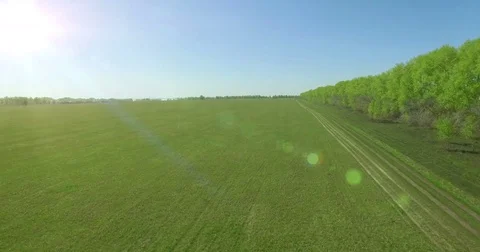 4k aerial view. Low flight over green and yellow wheat rural field Stock Footage 71686026