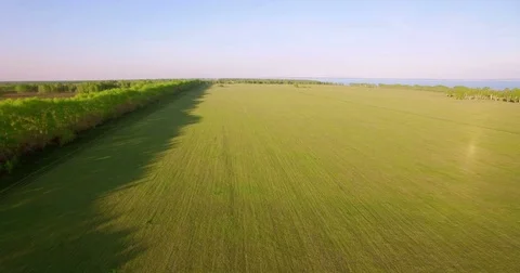 4k aerial view. Low flight over green and yellow wheat rural field Stock Footage 71689149