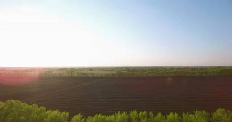 4k aerial view. Low flight over green and yellow wheat rural field Video stock 71691066