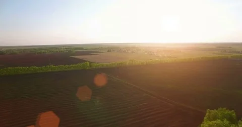 4k aerial view. Low flight over green and yellow wheat rural field Stock Footage 71691369