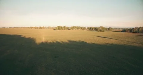 4k aerial view. Low flight over green and yellow wheat rural field Stock Footage 71692433