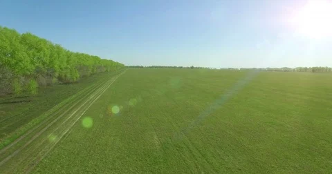 4k aerial view. Low flight over green and yellow wheat rural field Stock Footage 71946768