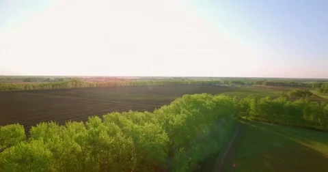 4k aerial view. Low flight over green and yellow wheat rural field Stock Footage 71946889