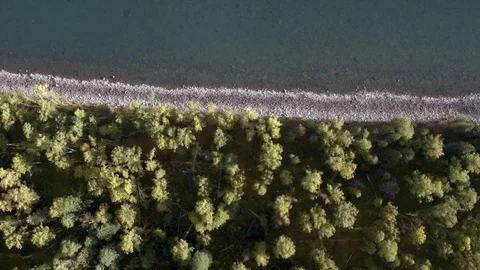 4K aerial view. Low flight over a fresh cold mountain river with green trees. Stock Footage 123110979