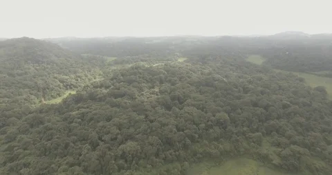 4K aerial view of a mountain through the clouds, Coorg, India 스톡 동영상 87982596