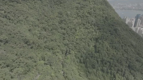 4K Aerial View of The Peak Overlooking Hong Kong’s Skyline 動画素材 293433294