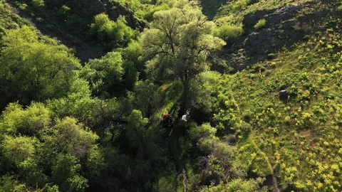 4K Aerial view of a red 4x4 car driving on a dirt mountain road. Video stock 112010488