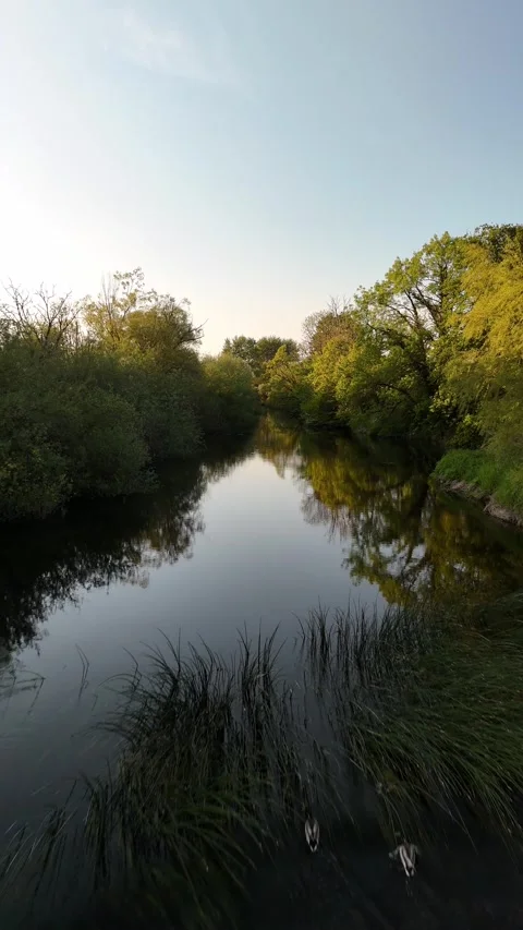 4K Aerial View of River Barrow at Milford Park County Carlow Ireland Stock Footage 337853632