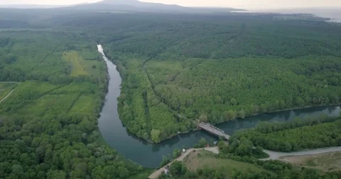 4K Aerial view of river in forest Stock Footage 125050347