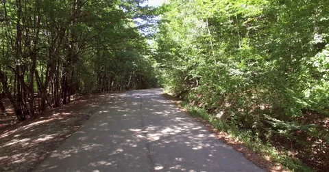 4K Aerial View of road in forest Stock Footage 67668366