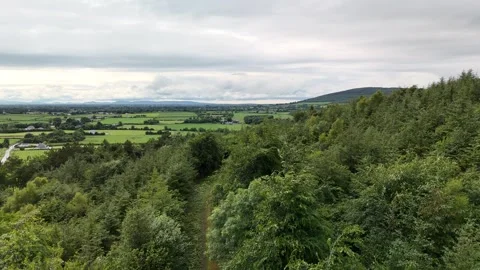 4K Aerial View of Rural Path, Forest and Green Fields Landscape Vidéo 333336413