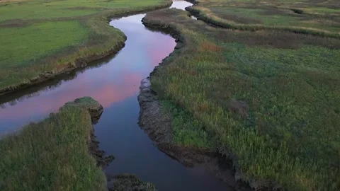 4K Aerial View of Salt Marsh Coastal Wetland and Tidal Channels Video stock 328535730