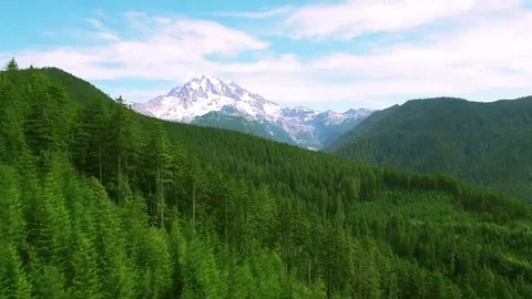 4K aerial view Seattle up forward toward Mount Rainier Vídeo Stock 69101492