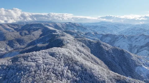 4K Aerial View of Snowy Forested Hills Under Clear Blue Sky Vídeo Stock 335486643