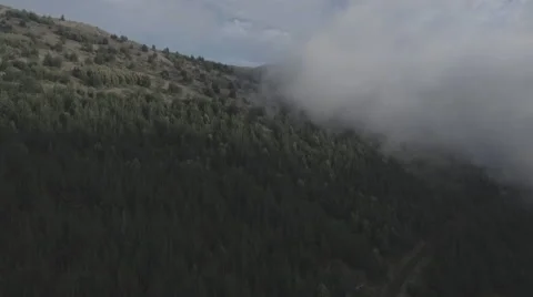 4K Aerial View: Soaring Over Country/Pine Trees Into Clouds Stock Footage 65218849