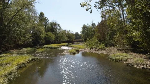 4k Aerial view of stream in between trees on clear day Stock Footage 122784186