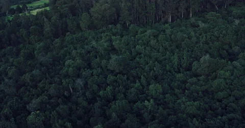 4K Aerial View. Sunset. Flight over green grassy hills into sunset clouds. Stock Footage 56441596