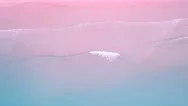 4K Aerial View Top View Of Drone, Blue Sea Waves And Beautiful Pink Sand Beach. Stock Footage